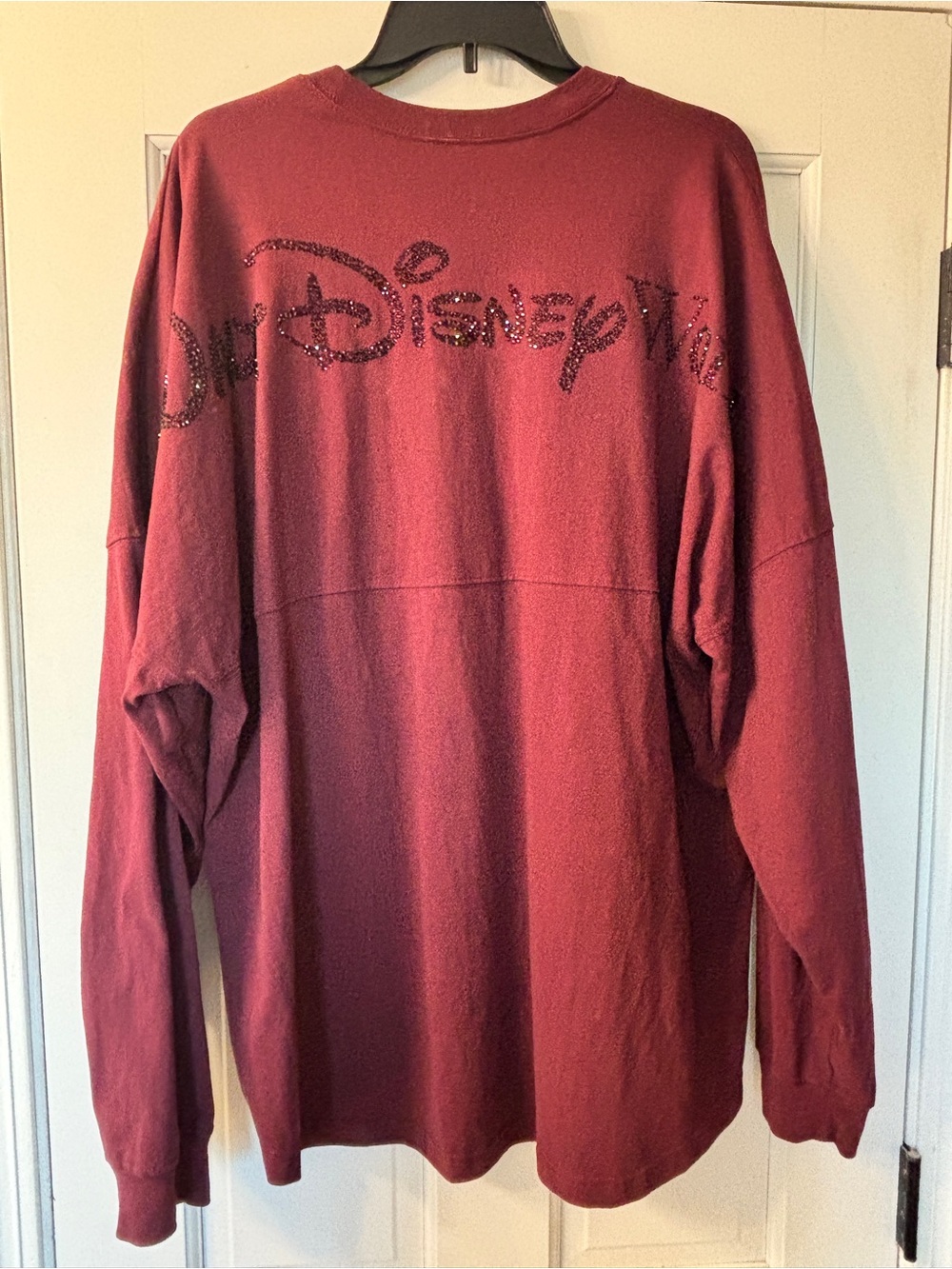 Walt Disney World Spirit Jersey